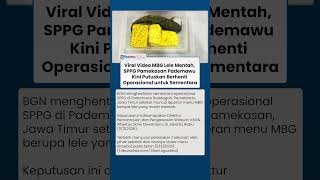 Buntut Menu Lele Mentah Viral, Operasional SPPG di Pamekasan Dihentikan Sementara