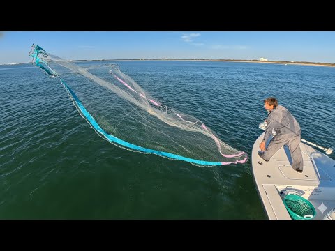 Catching GIANTS for Dinner with Cast Net and then Using them for Bait