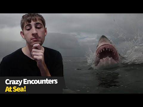 15 Insane moments at sea - The sea can be a SCARY place! (reaction)