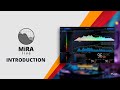 Video 2: Introduction