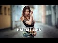 Kive Mukhde To Nazra Hatawa Lofi Female Version Prerna Makin Tere Jeya Hor Disda