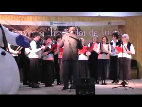 Curtici - Corul Mixt al Parohiei Curtici, concert de colinde