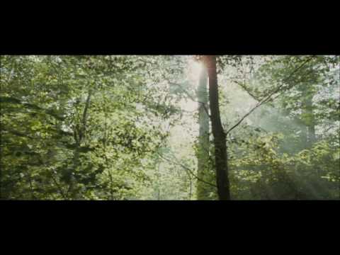 Coco Chanel & Igor Stravinsky - bande-annonce du Québec