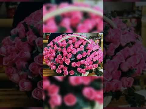 Happy Birthday,Sharon!!!