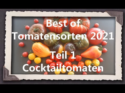 Best of Tomaten 2021 Teil 1 - Cocktailtomaten