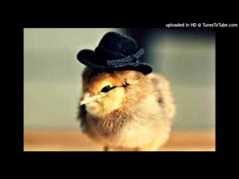 Today's Tango Is... El Pollito - Carlos Di Sarli 05-12-1951