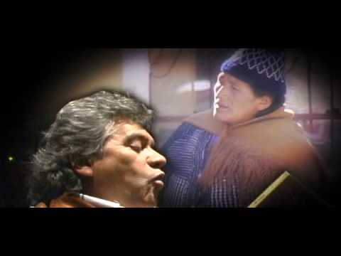 A La Sombra De Mi Madre - Savia Andina