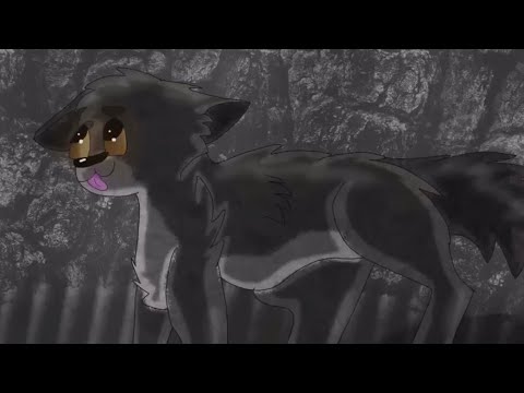 Conner Speedpaint