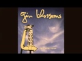 Long Time Gone :: Gin Blossoms (HQ)