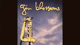 Long Time Gone :: Gin Blossoms (HQ)