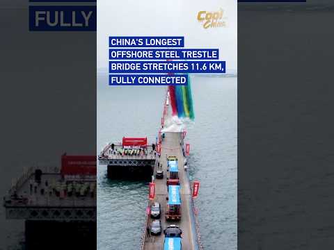 China's longest offshore steel trestle bridge stretches 11.6 km, fully connected #coolchina
