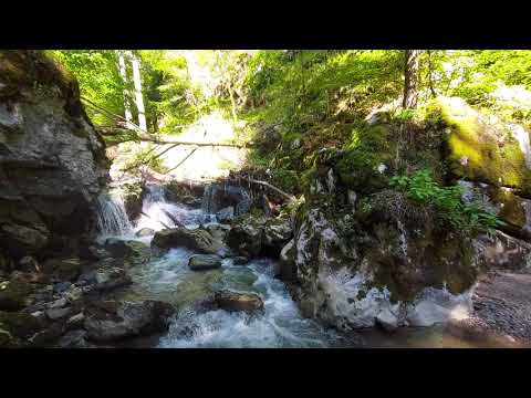 Podul natural Grohot, jud Hunedoara      Grohot natural bridge, Hunedoara County