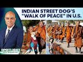 Indian Street Dog Aloka Joins Buddhist Monks on US Peace Walk, Goes Viral | Spotlight