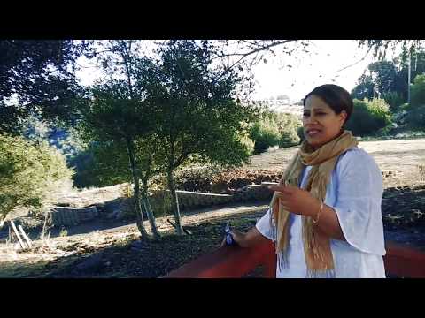 Teu fakatapu moe haofanga ( Teine Latu)