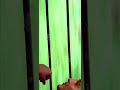 Pinneyum Pinneyum Hd Whatsapp Status Malayalam Jayaram Manju Warrior
