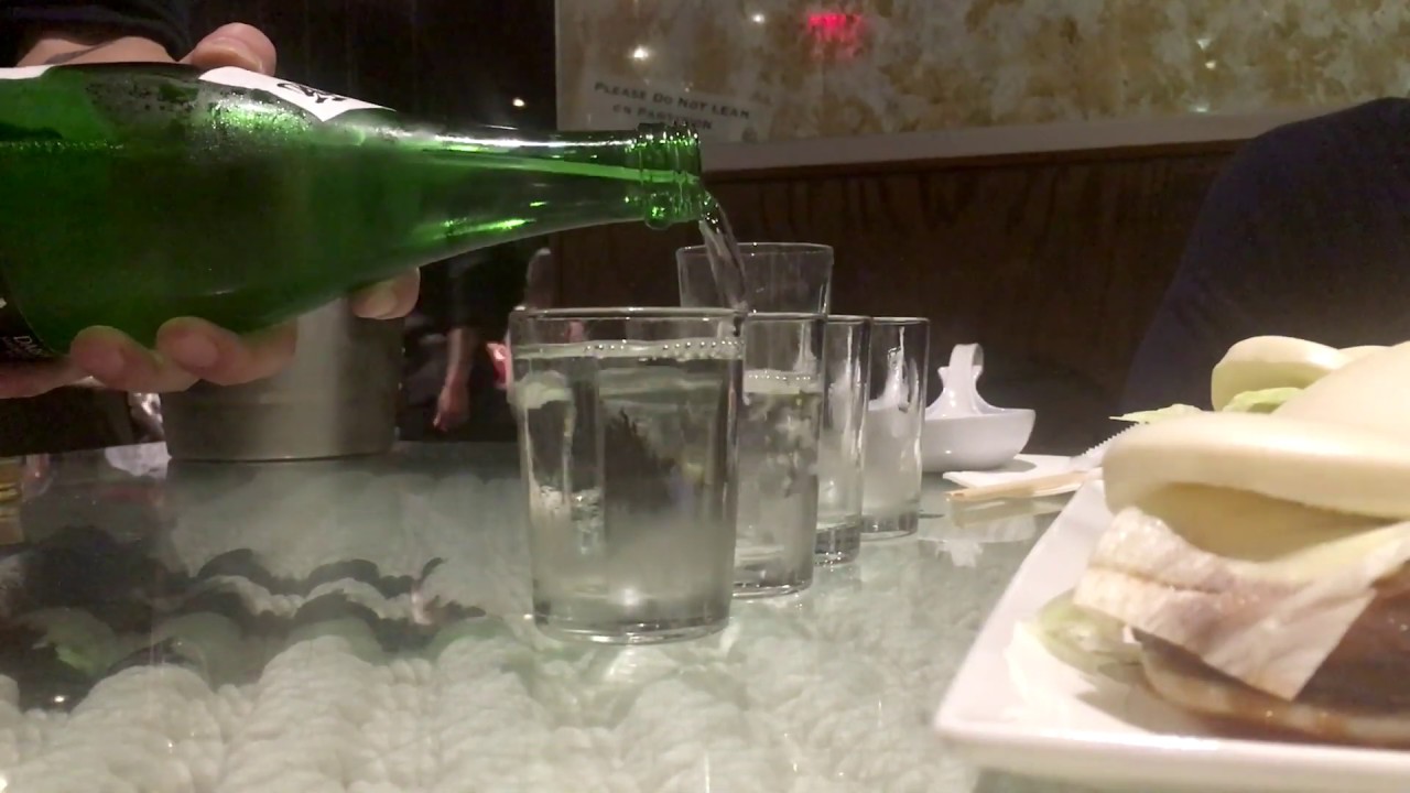 Phasellus quis metus