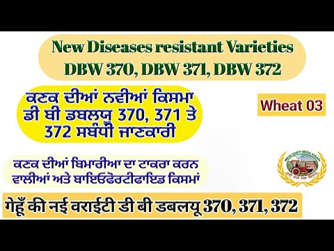 DWR wheat varieties DBW 370, 371 & 372 (ਕਣਕ ਦੀਆ ਨਵੀਆਂ ਕਿਸਮਾ 370, 371, 372 ਸਬੰਧੀ ਜਾਣਕਾਰੀ)