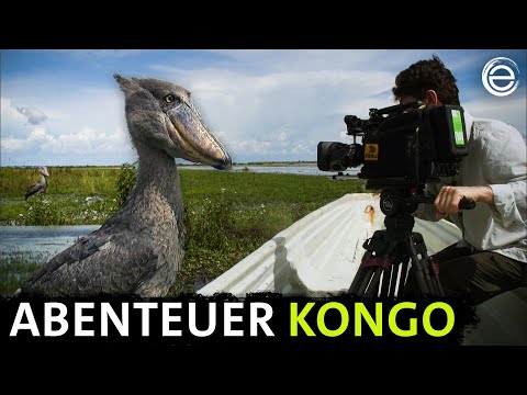 Abenteuer Kongo ‒ Das Making-Of | Erlebnis Erde