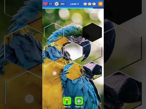 Hexa Sort Puzzle
