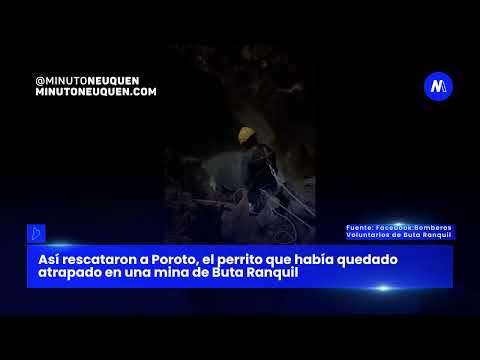 Rescataron a un perro que había quedado atrapado en una mina en Buta Ranquil - Minuto Neuquén