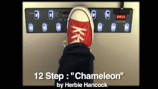 Video thumbnail for 12 Step : "Chameleon" by Muse Kinetics