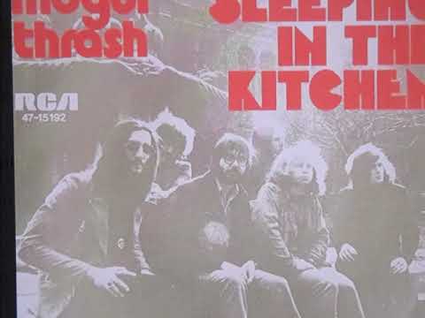 mogul thrash    " sleeping in the kitchen "  2020 stereo single.