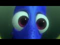 P Sherman, 42 Wallaby Way, Sydney