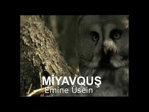 EMİNE ÜSEİN. МИЯВКЪУШ. MİYAVQUŞ.  Miss Karachul