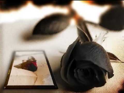 vuelve a mi lado-grupo maravilla