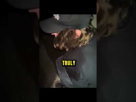 They Thought It Was Their Friend…