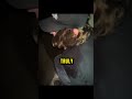 They Thought It Was Their Friend…