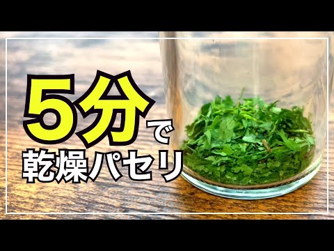 パセリの乾燥: 実践的なヒント 植物