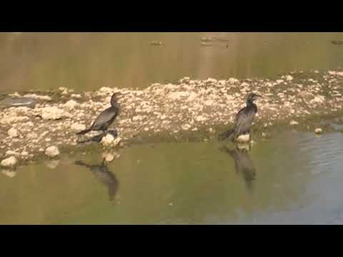 En las cercanías del Arroyo Cululú Esperanza Santa Fe 2025