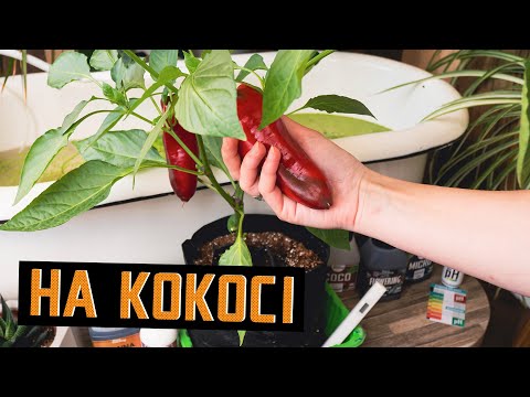 2 х 270 мл Coco Kit Комплект удобрений для выращивания в кокосовом субстрате - фото 1 - id-p830334645