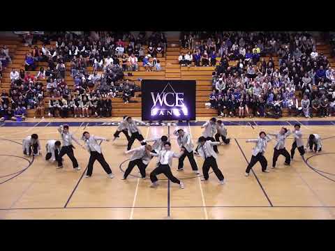 WCE 2026 Feb 8 San Diego 2 1st Place Large All Male & Best Showmanship Otay Ranch