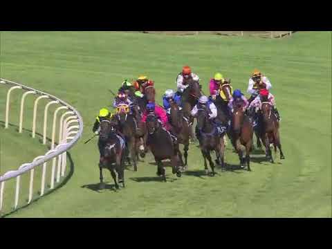 The Amateur wins over the mile at Doomben Jan 2017.