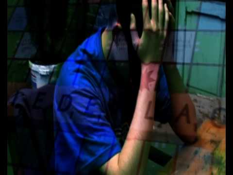 *** ALLE AUF NACH DARMSTADT! LILIENSCHWEINE!!! ***