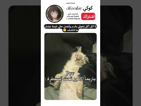 المجرم الحقيقي بالبيت 😭