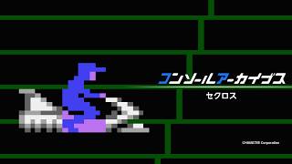 Console Archives Seicross