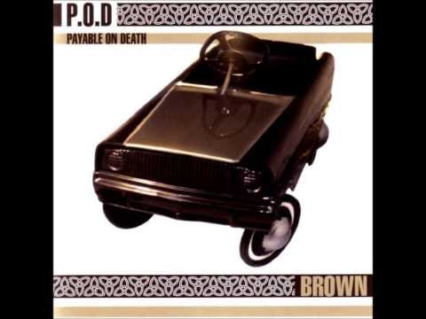 Brown video