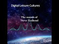Digital Leisure Cultures