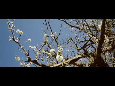 Rema Das Mein Tenu S...