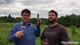 2013 Russian River Vineyards Pinot Noir Organic Dry Farmed Sonoma County Red Wine