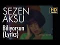 Sezen Aksu - Biliyorsun (Lyrics | Şarkı Sözleri)