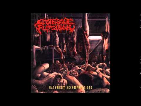 Grotesque Formation - Basement Decompositions (Full Album)