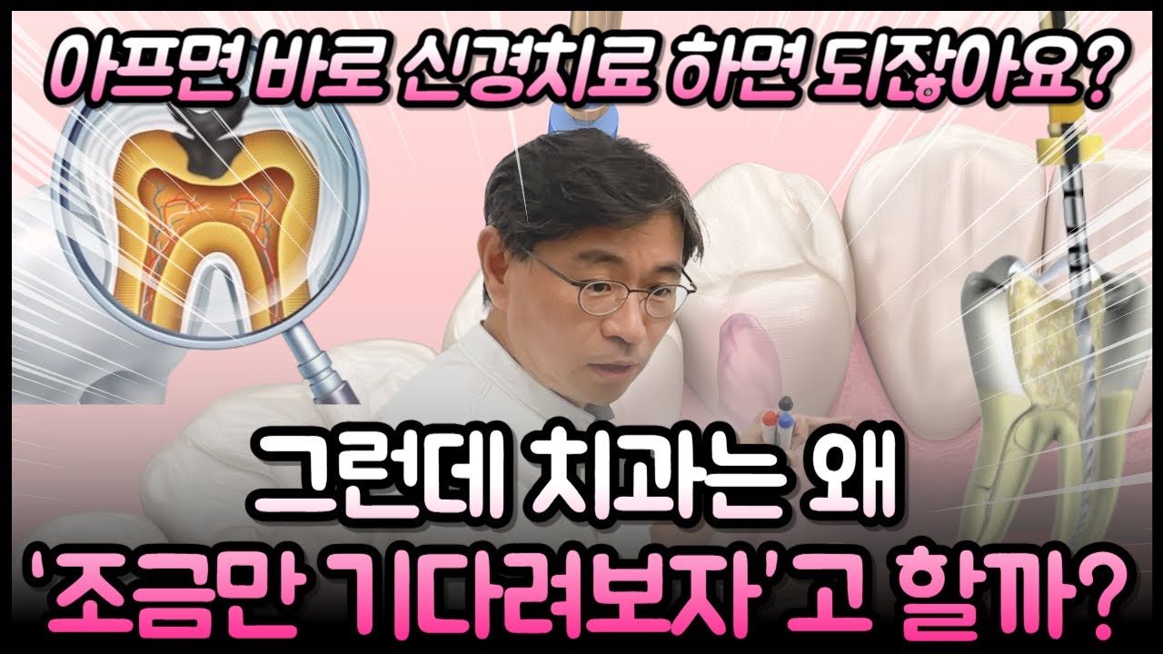  “아프면 바로 신경치료 하면 되잖아요?”… 그런데 치과는 왜 ‘조금만 기다려보자’고 할까?