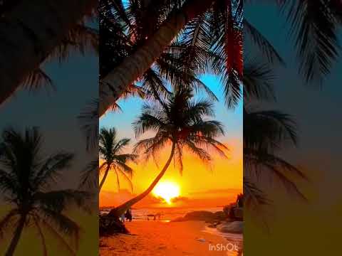 “Golden Hour: Embracing Sunset Moments at the Beach”🌤😍#SunsetAtTheBeach #GoldenHour #BeachSunset