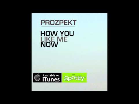 Prozpekt - How You Like Me Now