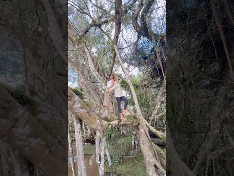 Tabatinga, Amazonas, Brazil
