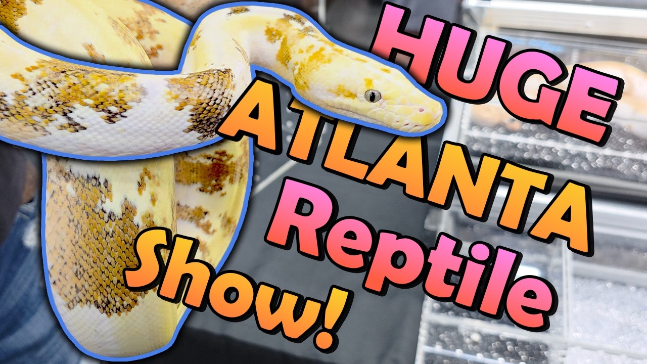 We Attended a HUGE Reptile Expo in Atlanta, GA!